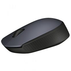 Logitech M171