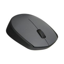 Logitech M171