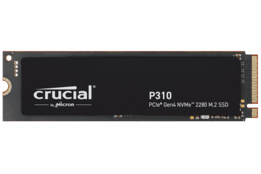 CRUCIAL P310