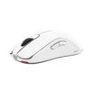 BENQ ZOWIE FK2-DW GLOSSY WHITE